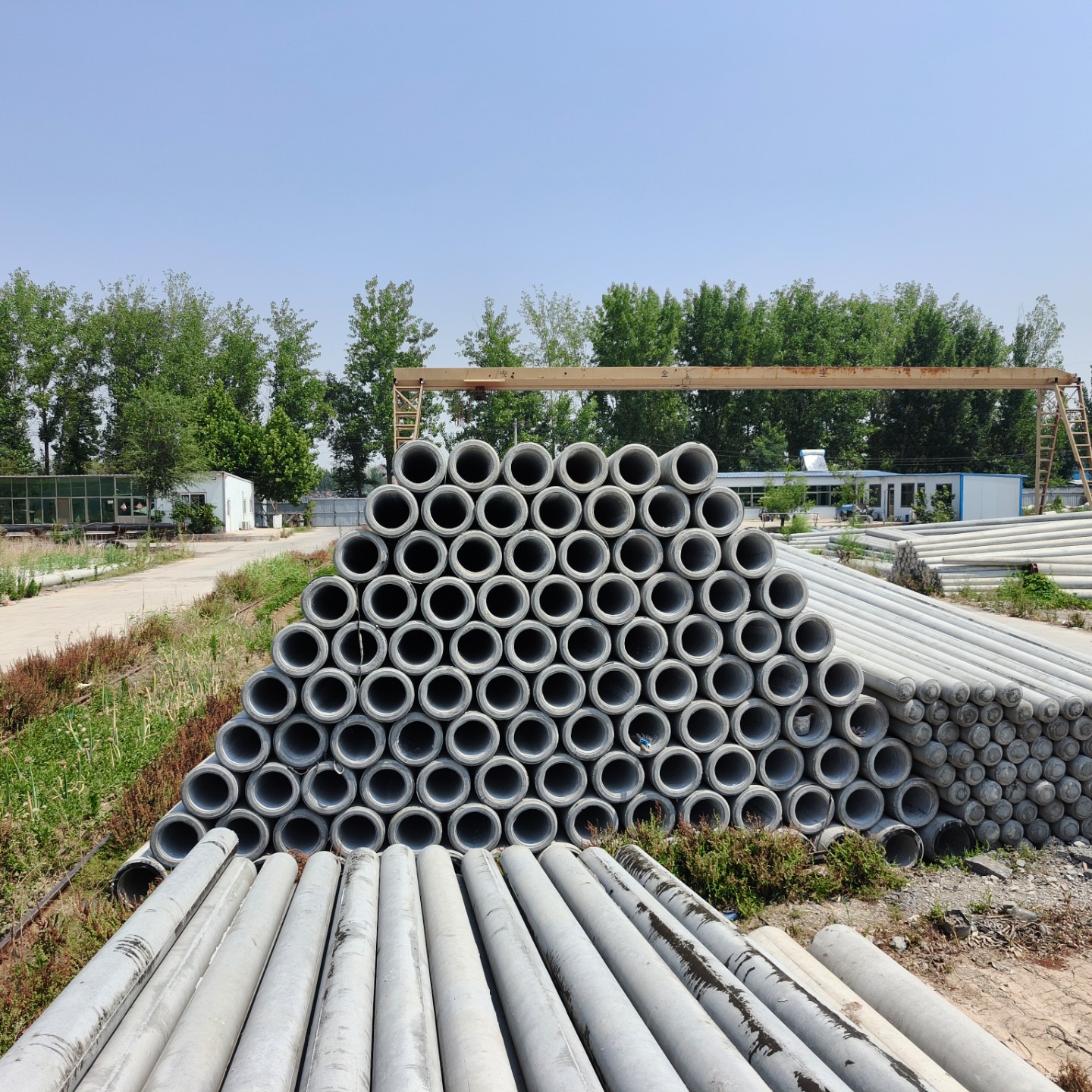 东山190×10米水泥电线杆